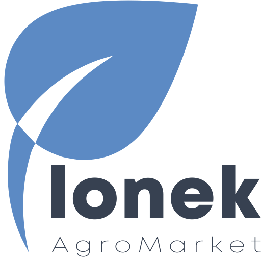 Plonek
